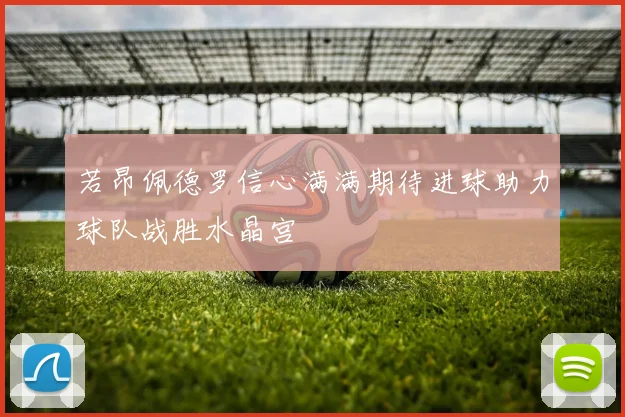 若昂佩德罗信心满满期待进球助力球队战胜水晶宫